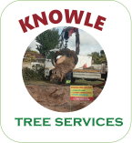 Knowle Tree Felling Services Port Elizabeth