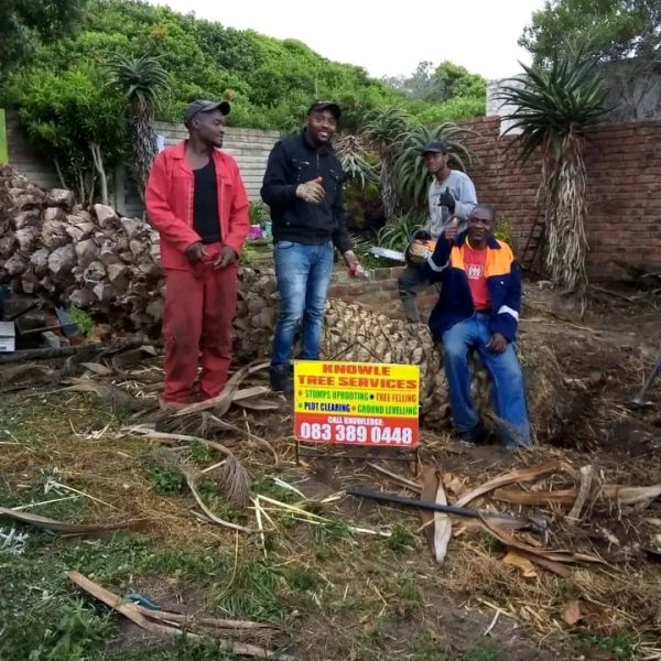 TREE CUTTING PORT ELIZABETH